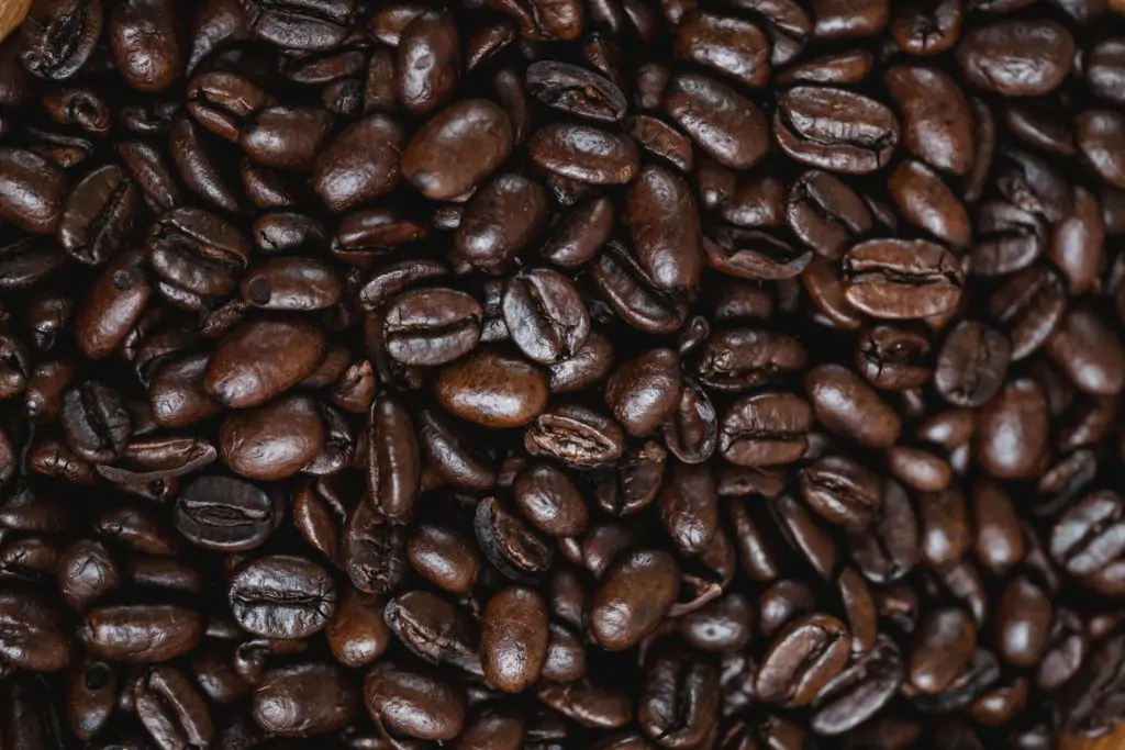Extra Dark Roasted Coffee Beans-Coffeo Couch
