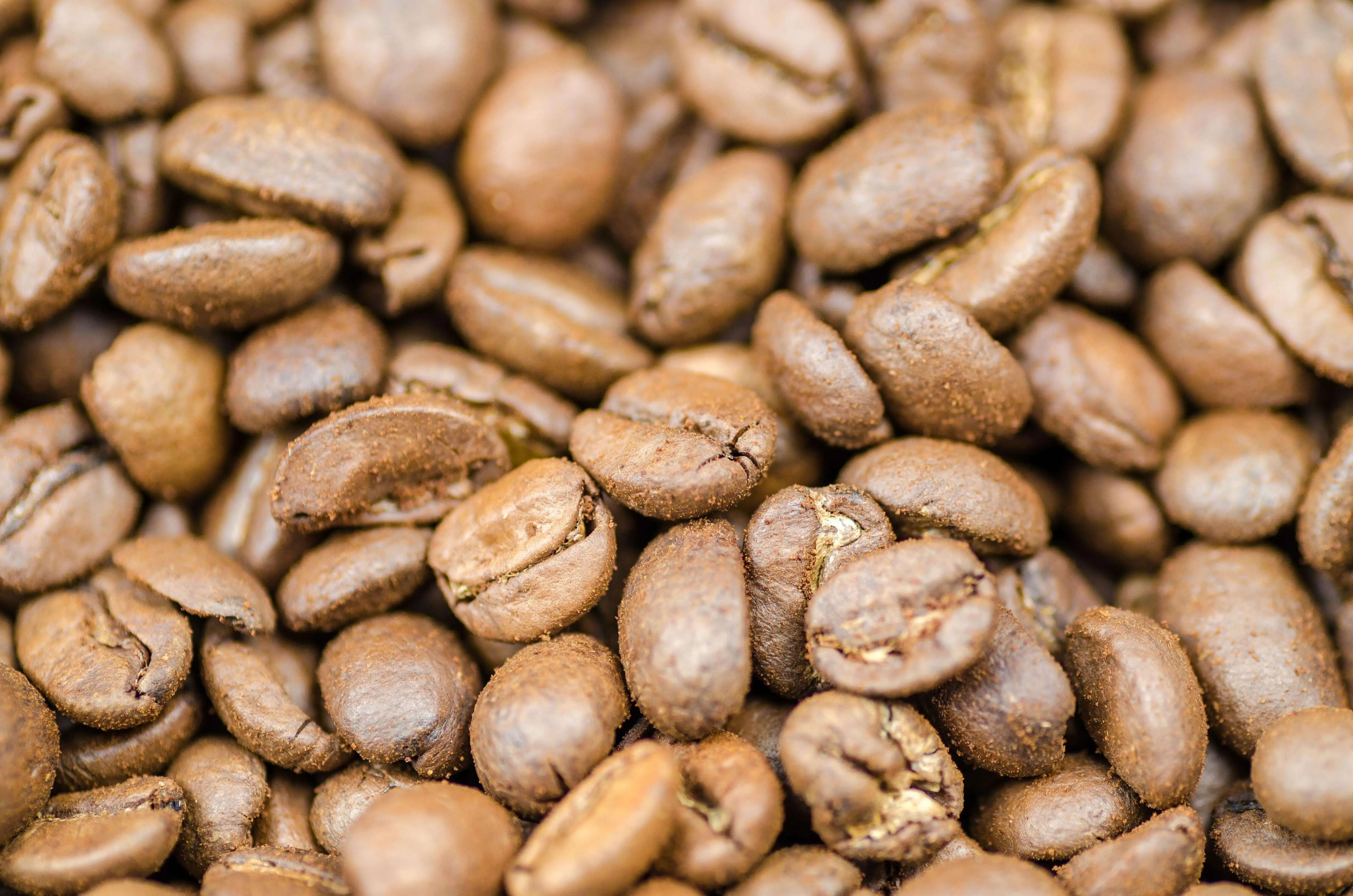 Light Roasted Coffee Beans-Coffeo Couch