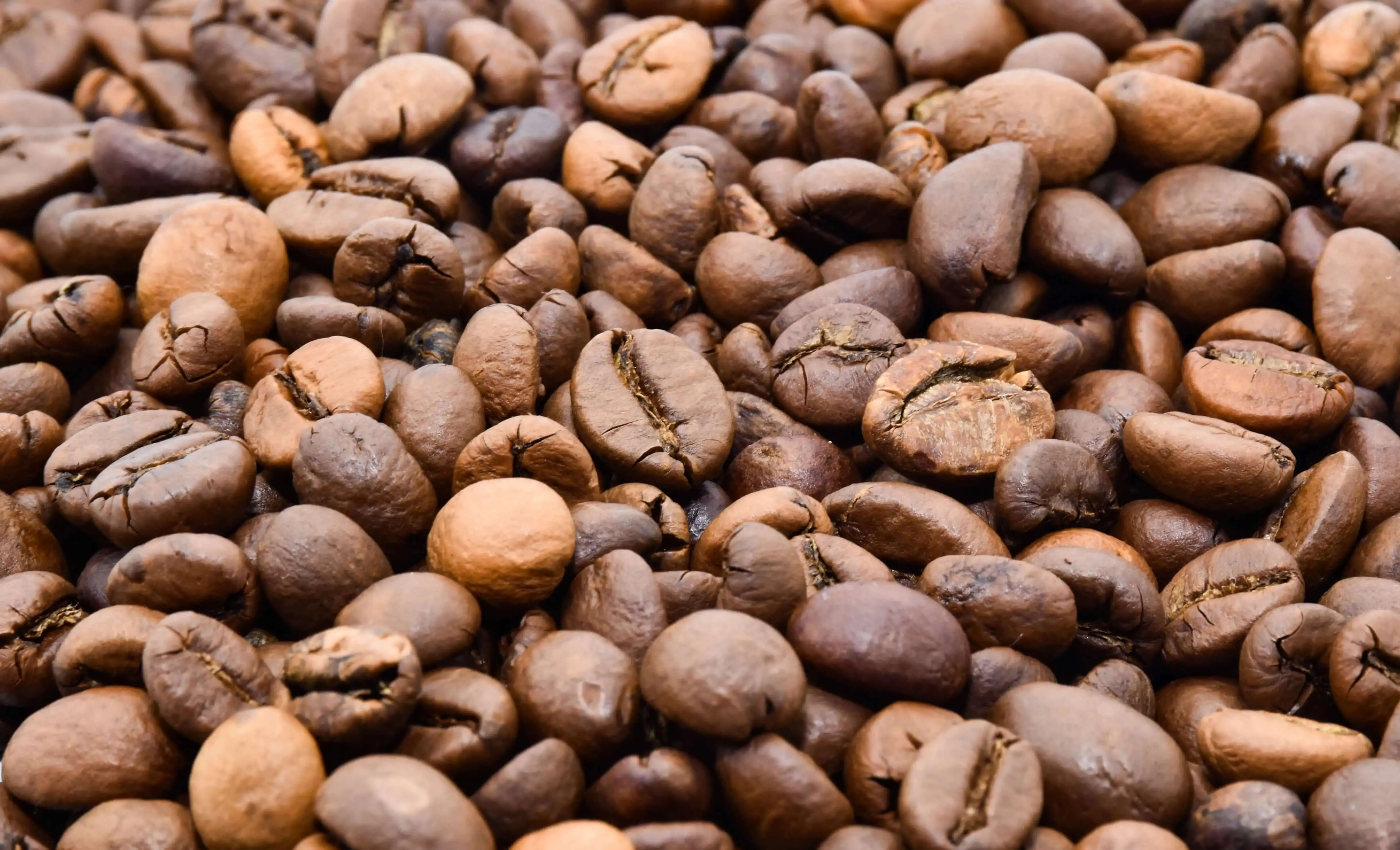 Medium Roasted Coffee Beans-Coffeo Couch