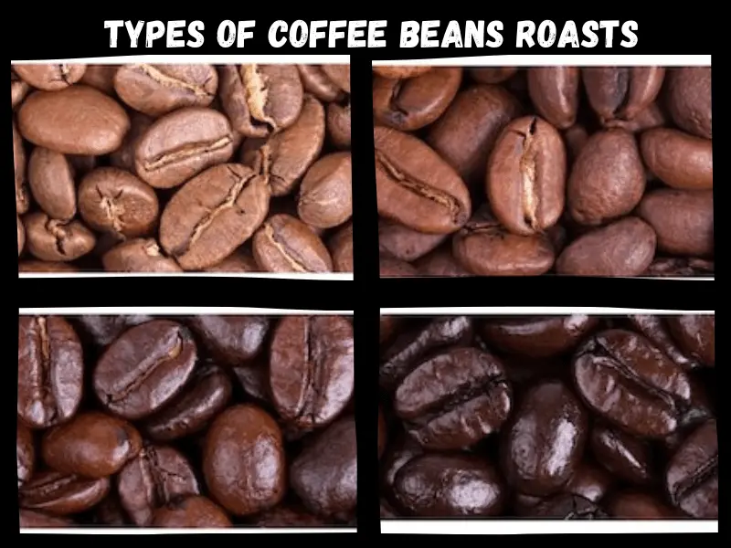 4 Types of Beans Roasting