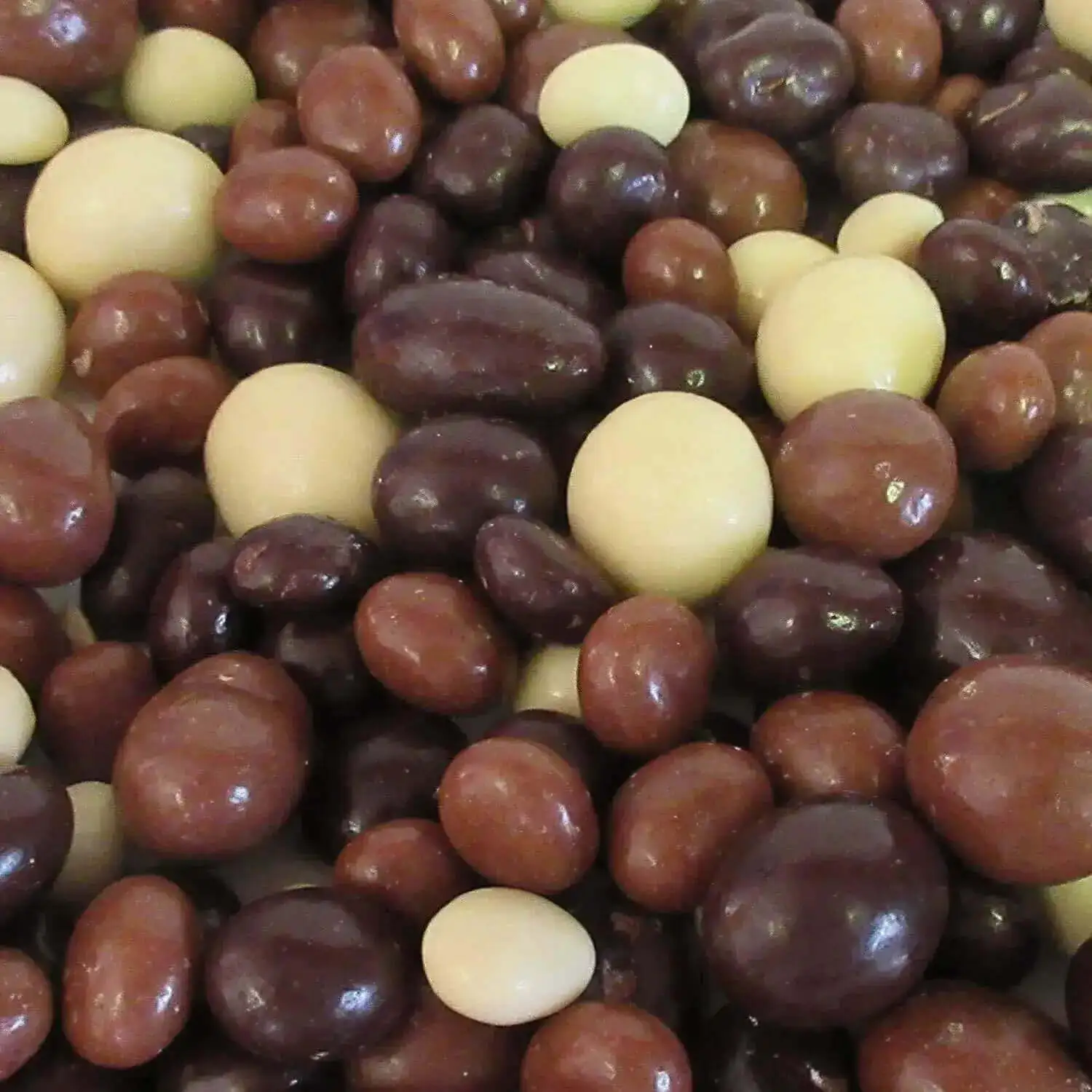 CHOCOLATE COATED COFFEE BEANS COFFEO COUCH