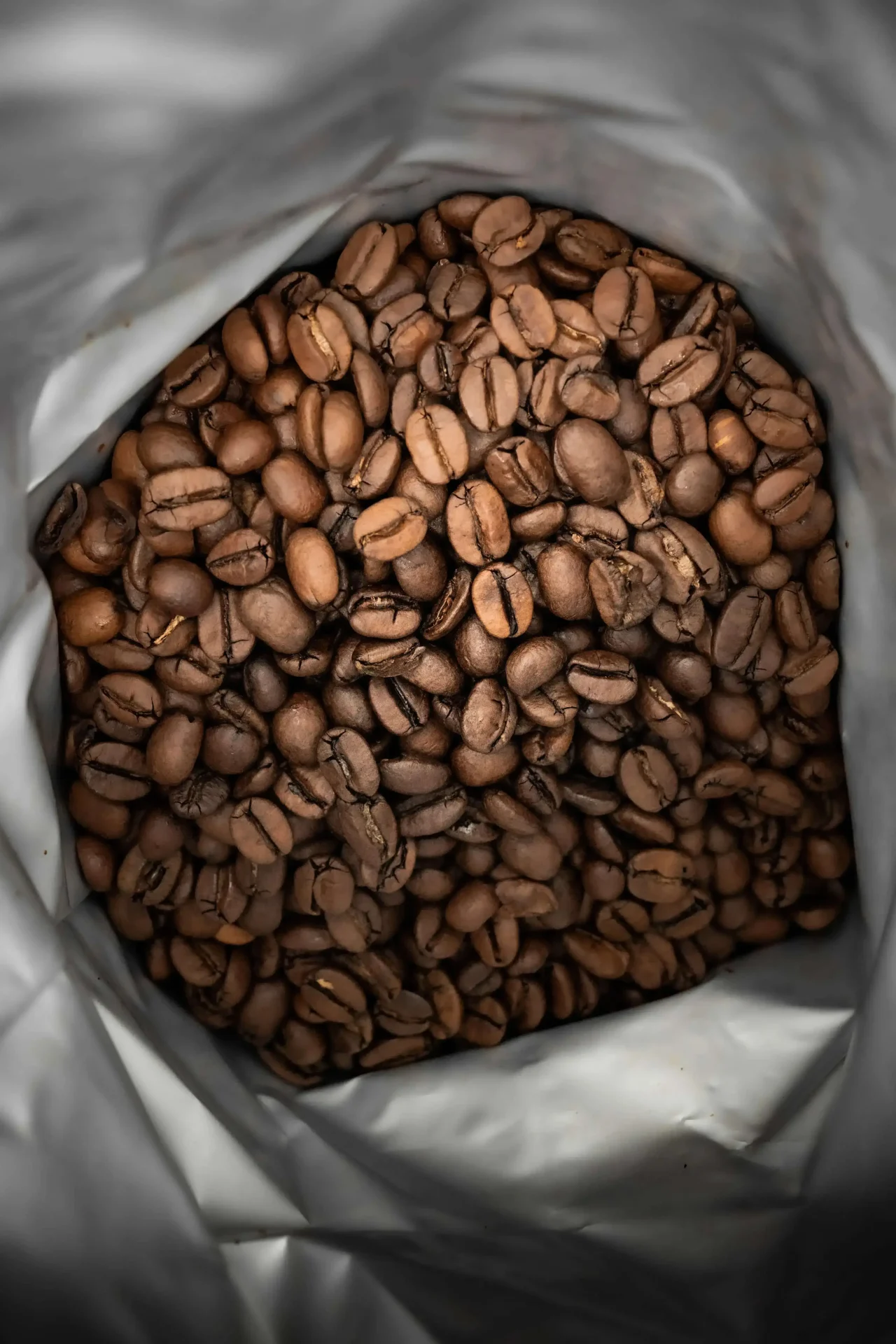 COFFEE BEANS-CIFFEO COUCH