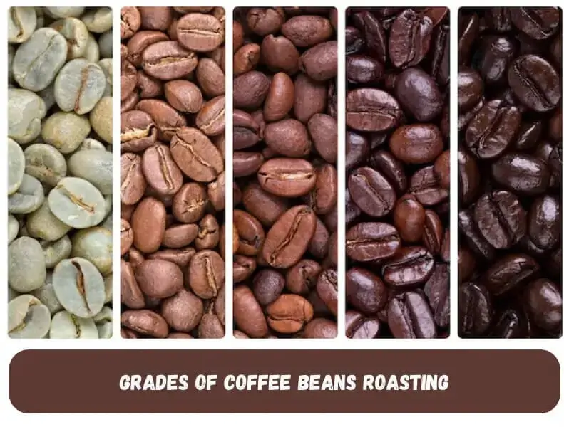 GRADES OF ROASTING COFFEO COUCH