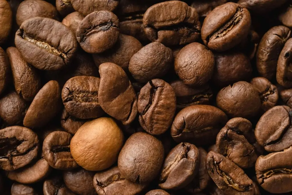 COFFEE BEANS MEDIUM ROAST - COFFEO COUCH