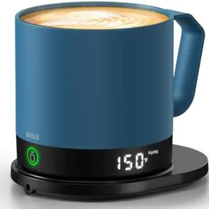 Temperature Control Smart Mug