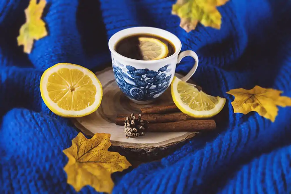 coffee-with-lemon-and-cinnamon_ivamedia_coffeo-couch